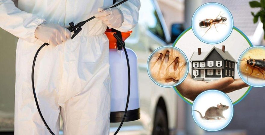 Yunusemre Böcek İlaçlama