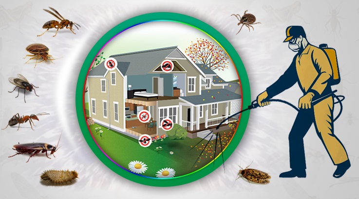 Yunusemre Böcek İlaçlama