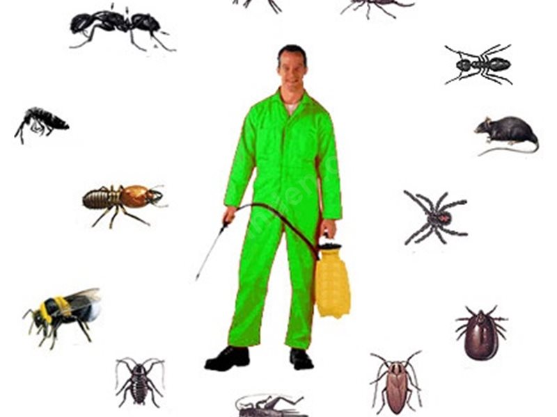 Yunusemre Böcek İlaçlama